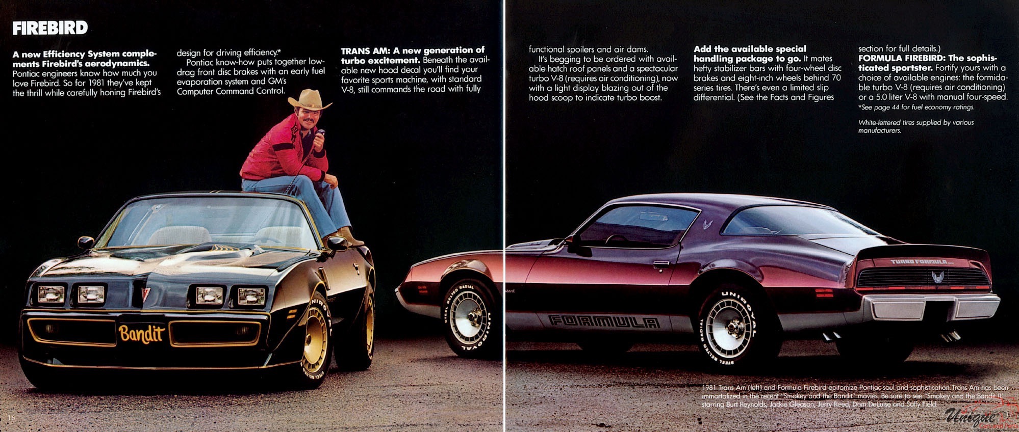 1981 Pontiac Brochure Page 2